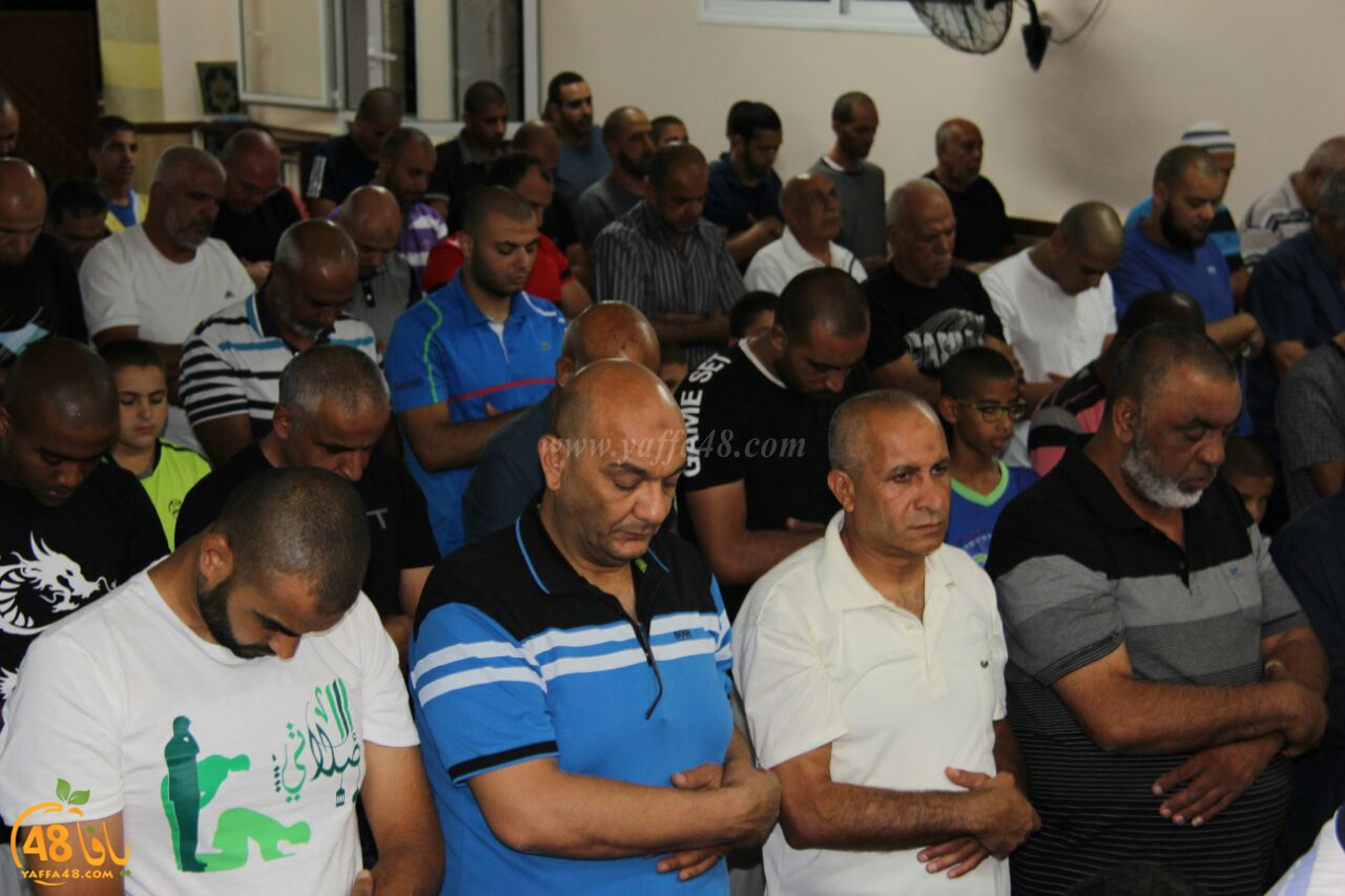 tarawe7 jamaki (7).jpg